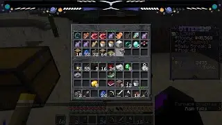 OtterSMP: Continuing The Stairway to My Dream House