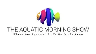 The Aquatic Morning Show / Afternoon unconventional stream
