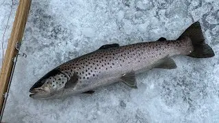 January 13, 2022 Ice Fishing In Maine