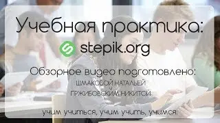 Учебная практика: Stepik.Org