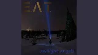 zwilight angels