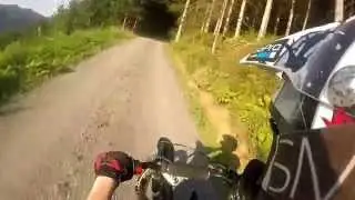 Angry Forester [RAW] [HD] [GoPro Hero 3+]