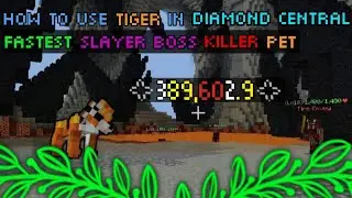 how to kill any slayer boss with tiger pet | craftersmc
