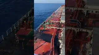 Cleaning 🧹 process bulk carrier #sealife #ship #bulkcarriervessel #cleaning#containervessel#navylife