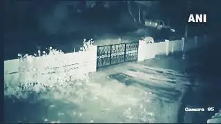 Leopard kills Dog in South India