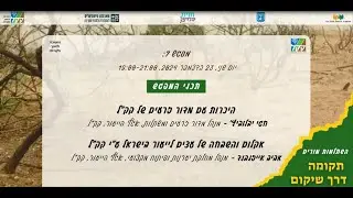 מכאן הכל צומח: מדור זרעים בקק
