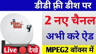 DD Free Dish पर Paid channel कैसे लाए | Add paid channels on DD Free Dish 2020