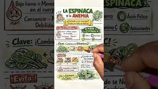 👉COMBATE LA ANEMIA CON ESPINACA