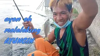 biwas na naman. daming ayungin na nahuli.