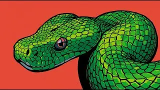 Emerald Tree Boa: The Silent Canopy Predator of the Amazon Rainforest