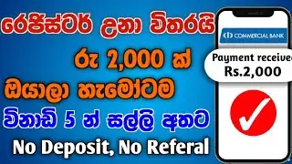E money for sinhela 2024,e money Sinhala, make money online 2024,e money new,SL E-money Academy