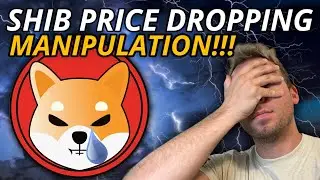 SHIBA INU - SHIB PRICE DROPPING??? MANIPULATION?!