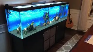 125 North American Aquatics Aquariums Tank Review!
