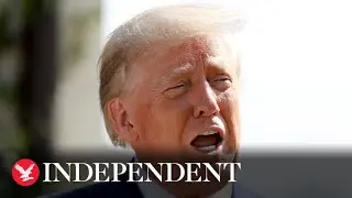 Donald Trump says he voted for Governor DeSantis