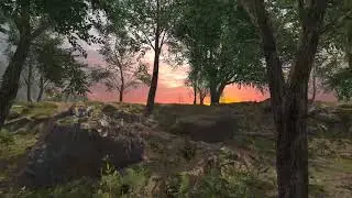 Forest in Unity: Hyperrealistic VR workflow