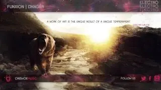 Funxion - Danger