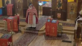 26th Sunday after Pentecost, homily