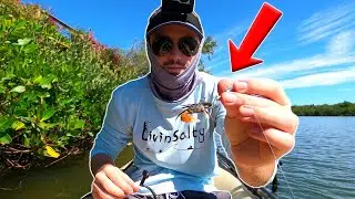 Fishing with LIVE FIDDLER CRABS to Catch Dinner
