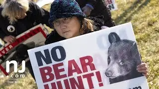 Protesters gather as N.J. bear hunt resumes