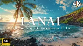 Lanai 4K - Scenic Relaxation Film With Calming Music