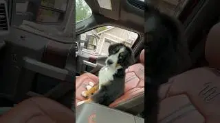 No smoking in the car Ted (relax, it&rsquo;s a fake cig)