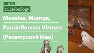 Measles, Mumps, Parainfluenza Viruses (Microbiology) | USMLE Step 1 | Sketchy Medical