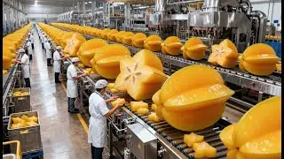 Inside the Largest U.S. Starfruit Factory | From Fresh Carambola to Packed Products (Full Process)