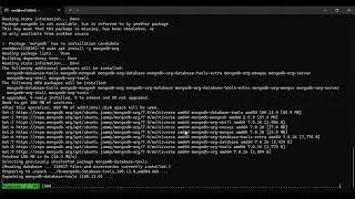 Install MongoDB on Ubuntu VPS &ndash; Step-by-Step Guide