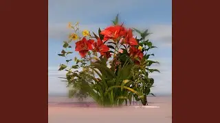 Water Plus