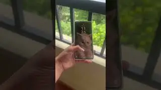 📱Planning to Buy iQOO Neo 10? Ask Me Anything! #shorts