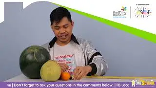Mind At Home: Fruity Solar System
