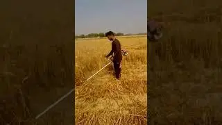 Best crop cutting tool
