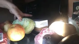 Food Pantry Drive Thru Haul Unboxing, Went With My Friend