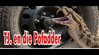 TJ en die Pofadder  TJ se stories uit die Kalahari. #funny #story #snake