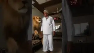 #viralvideo #janemerijanemanbachpankapyarmerabhulnahijanare #straydog