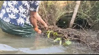 Clog On Canal For Agriculture Near Farm| Remove Trash And Leaf Clog On Canal#agriculture #farming