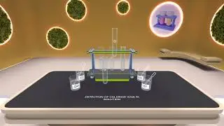 Detection of chloride ions in solution AR/3D