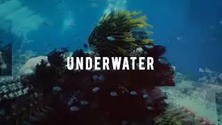 Buceo Anilao Beach and Dive Resort