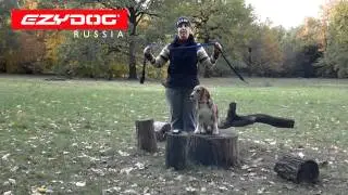 EzyDog | Поводок Soft Trainer