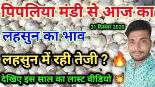लहसुन भाव आज का पिपलिया मण्डी today garlic rate pipliya mandi