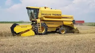 Harvesting with New Holland TC59 combine