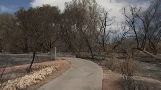 ONLY ON FOX5: Wetlands Park volunteers breaks down 34-acre fire&rsquo;s impact on wildlife