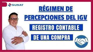 Como registrar una compra afecta al Régimen de percepciones con caso practico bien explicado