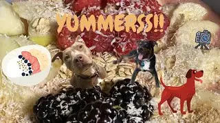 WE LOVE SMOOTHIE BOWLS!! | STELLA'S COOKING CORNER | DIY SMOOTHIE BOWLS | MAKING FOOD FOR MY DOG