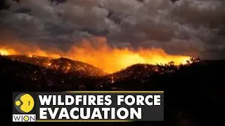 New Mexico wildfires spread uncontrollably, forces major evacuation drives | WION Climate Tracker