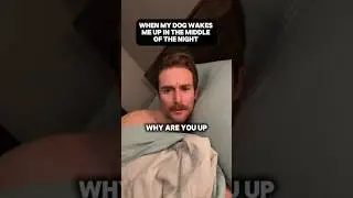The things we do for our pets😅#dog #puppy #relatable #pets #funny #shorts