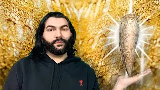 БИССУС, ШЕЛК ИЗ МОРЯ - самые редкие волокна на Земле