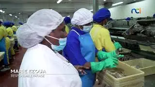 NCI REPORTAGES |Transformation du thon made in Côte d'Ivoire