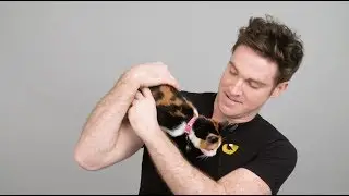 CATS on Broadway's Tyler Hanes on Pet Adoption | Cats the Musical