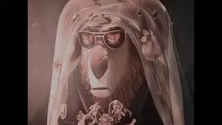 Nick edit 🔥🥰👑🥵 #zootopia2 #shorts #itzmequeen 